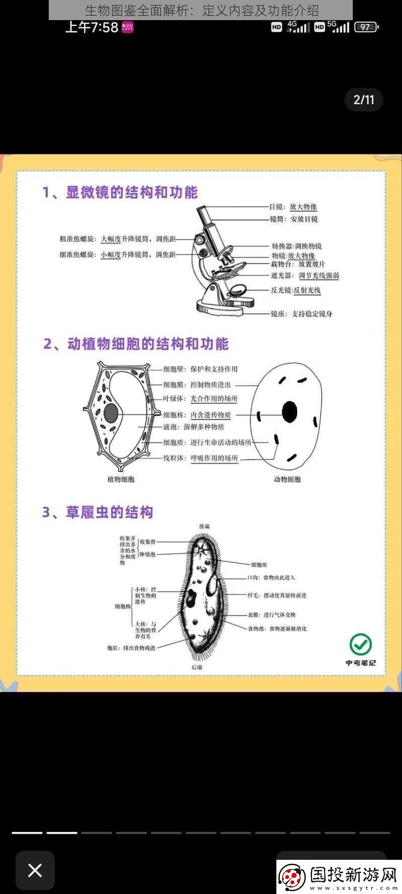 生物图鉴全面解析