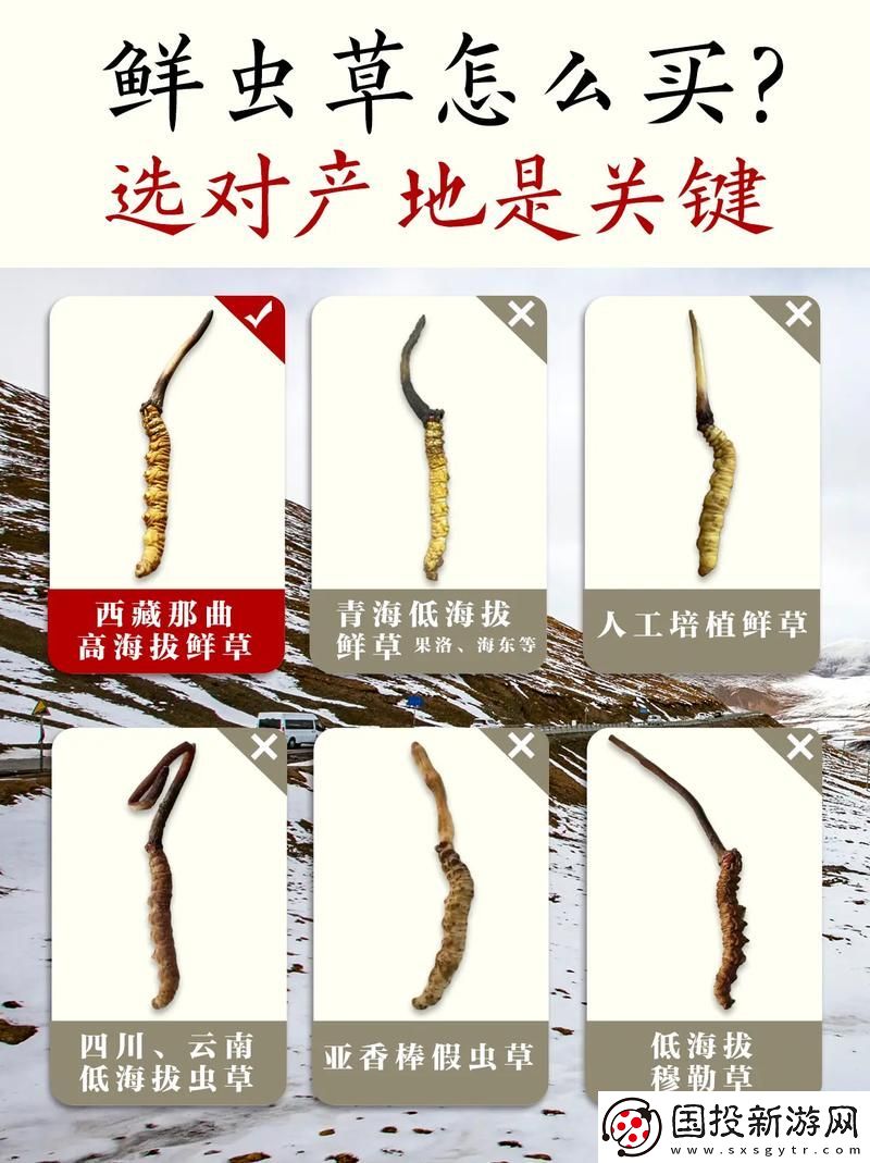 嫩叶草一区二区三区的区别