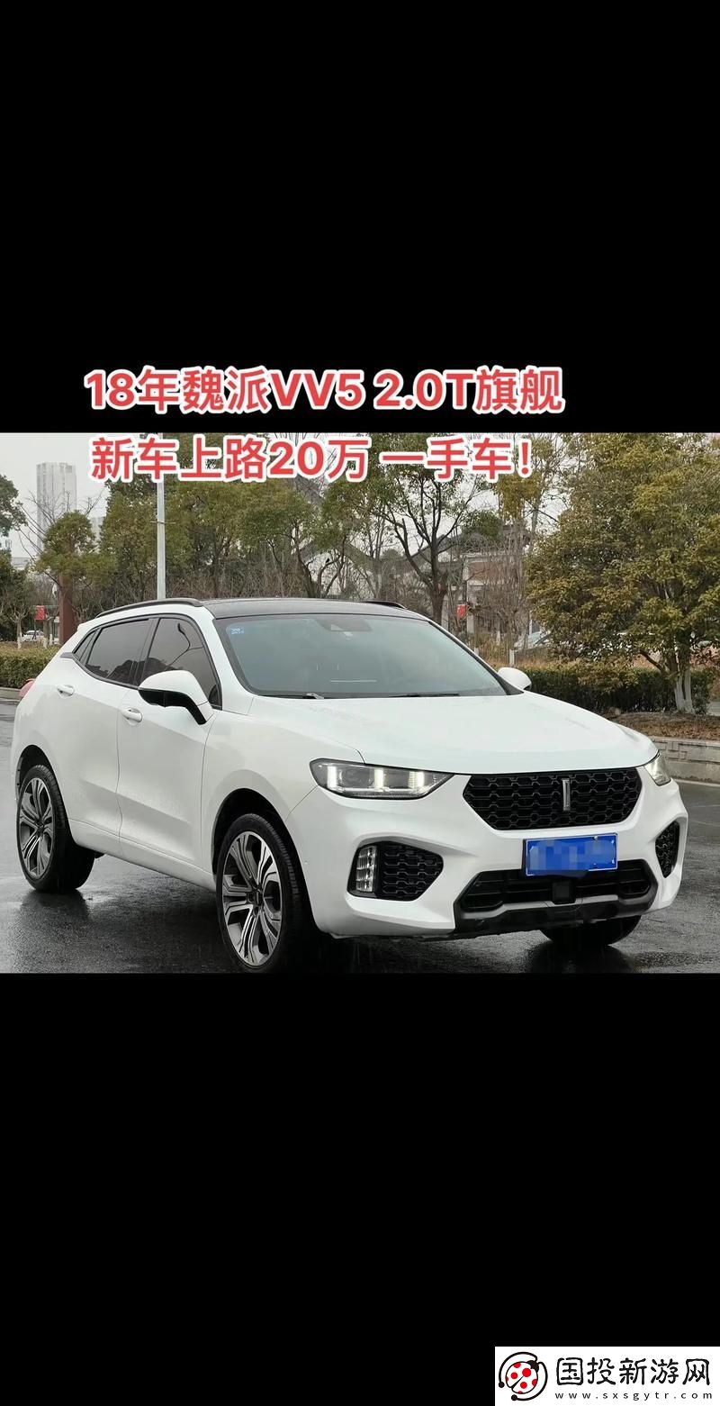weyvv5国产SUV免费