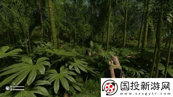 绿色地狱