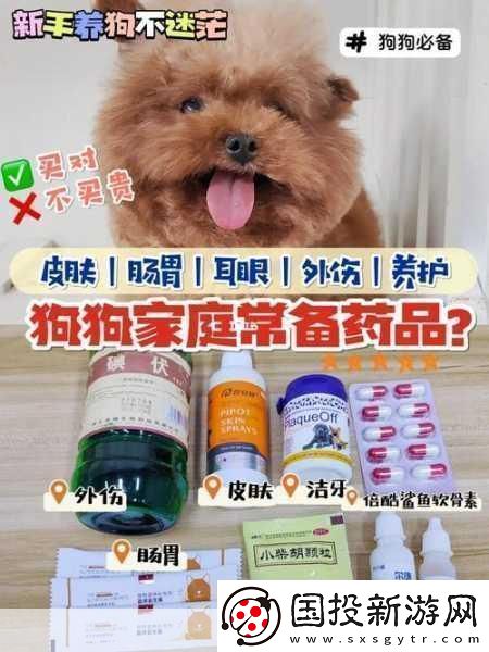 人狗胶配方大全免费