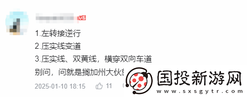 陈震测试特斯拉FSD