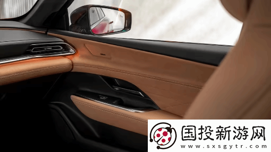 挑战特斯拉Model