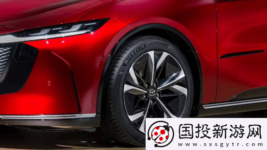 挑战特斯拉Model