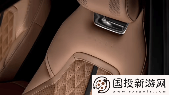 挑战特斯拉Model