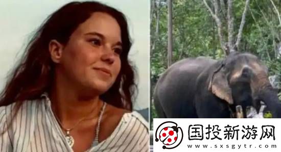 游客在泰国与大象互动意外身亡