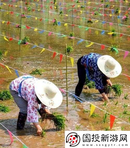 用七十二插秧招式演绎农耕文化