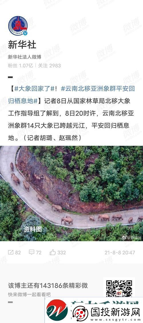 大象回家永远不迷路