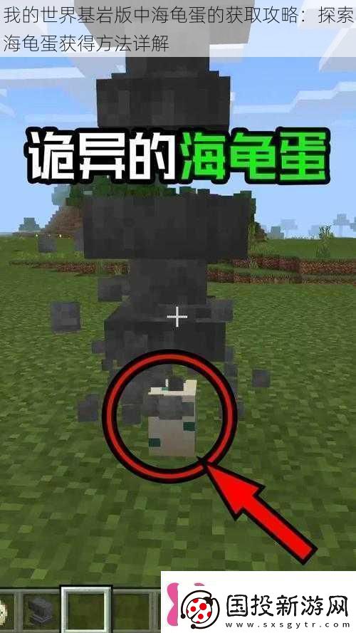 我的世界基岩版中海龟蛋的获取攻略
