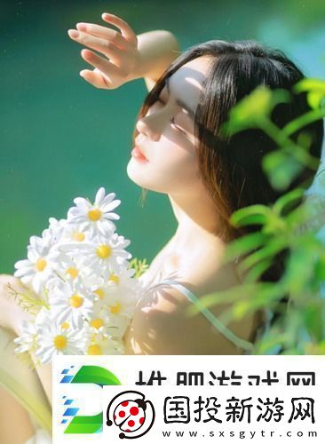 法国满天星八尺夫人菲律宾