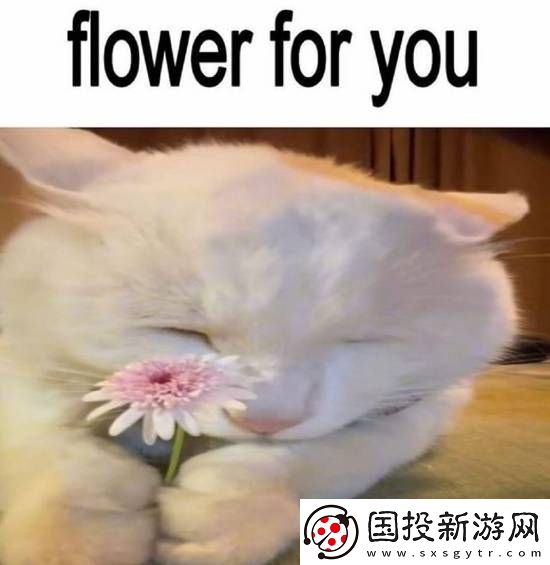 男女关系已经发展成这样了