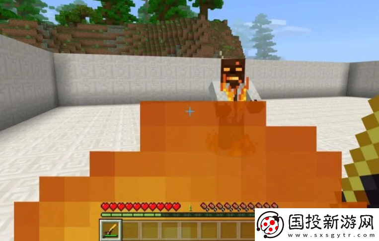 我的世界