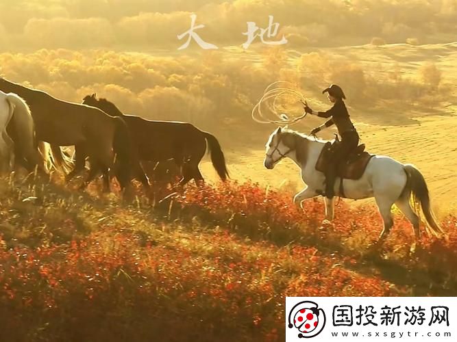 大地视频在线观看免费高清