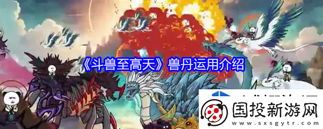竞技策略家
