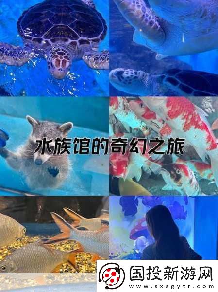 探索海底奇遇尽在多多海洋动物游戏APP！