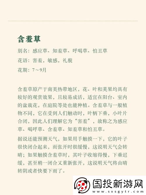 揭示情感深邃的含羞草电视剧背景故事