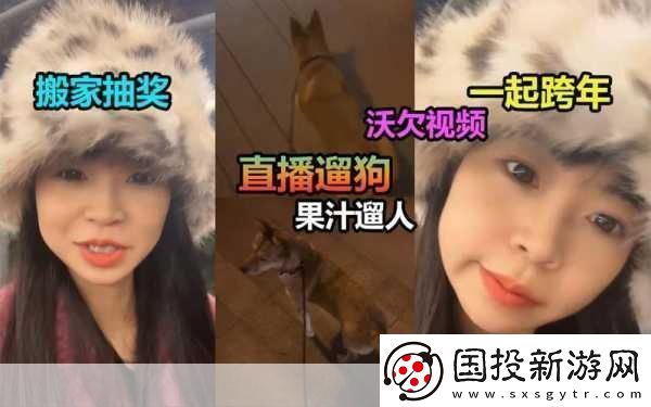 看B站直播间户外