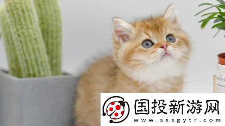 小它宠物社交平台下载