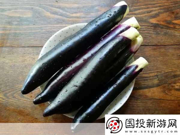 茄子最汅api免费下载安装