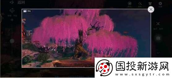 天谕手游幼年约定任务怎么做