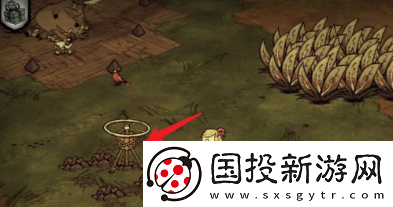 饥荒如何种菜