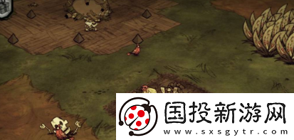 饥荒如何种菜