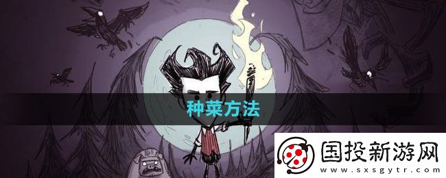 饥荒如何种菜