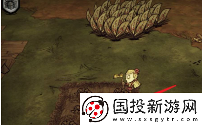 饥荒如何种菜