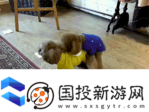 把腿张开