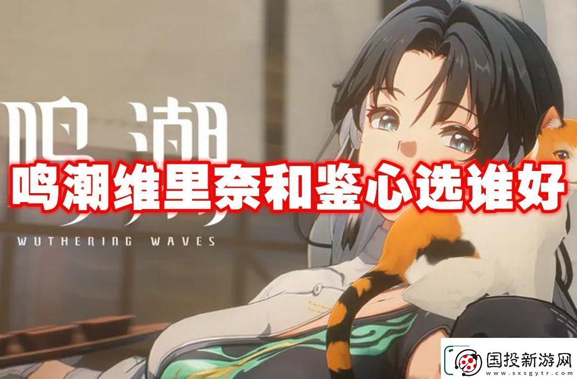 鸣潮维里奈和鉴心对比