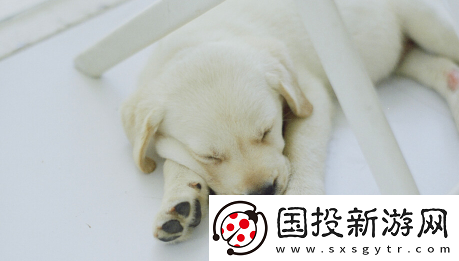 嘤嘤星球app下载