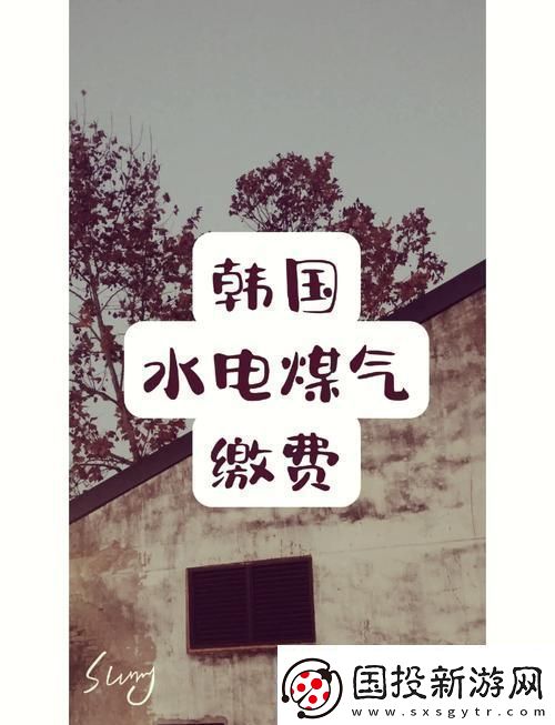 好看的韩国三色电费