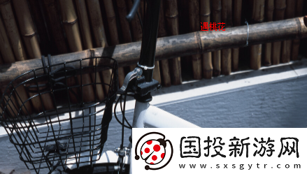 遇桃花app下载