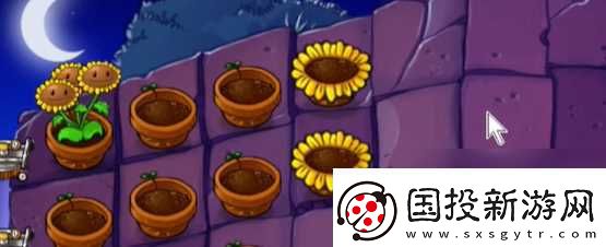 植物大战僵尸抽卡版冒险模式6