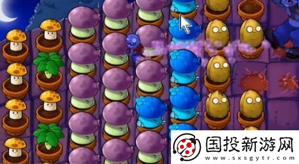 植物大战僵尸抽卡版冒险模式6