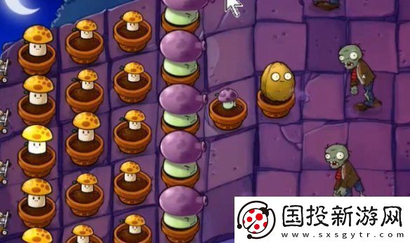植物大战僵尸抽卡版冒险模式6