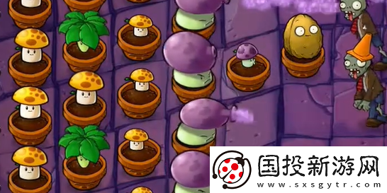 植物大战僵尸抽卡版冒险模式6