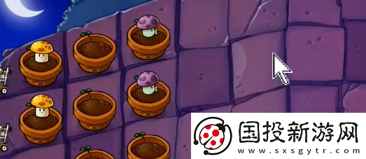 植物大战僵尸抽卡版冒险模式6