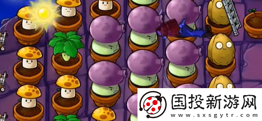 植物大战僵尸抽卡版冒险模式6