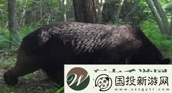游你扯淡