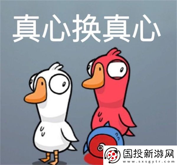 鹅鸭杀真心换真心什么意思