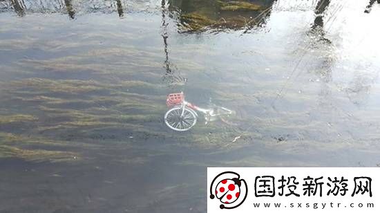 共享单车被丢河里每月可捞数百辆