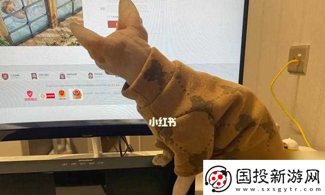 猫之城茂林余音解析