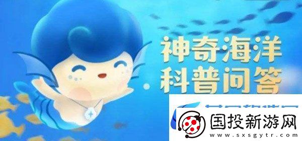 鲸类中