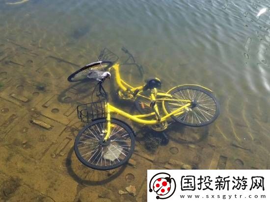 共享单车被丢河里每月可捞数百辆