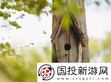 有心事树洞软件下载官方版