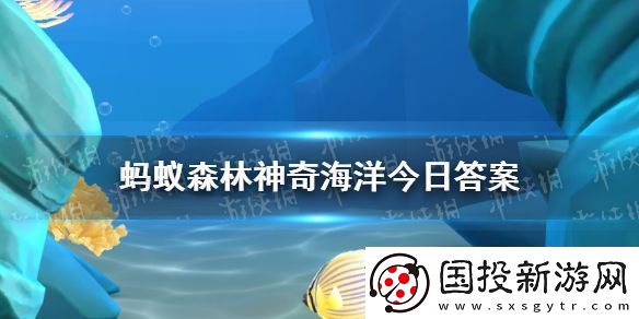 被称为海洋小绵羊的海洋生物是