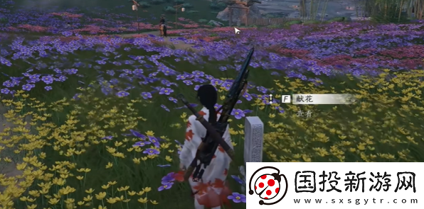 燕云十六声花海无颜奇遇攻略