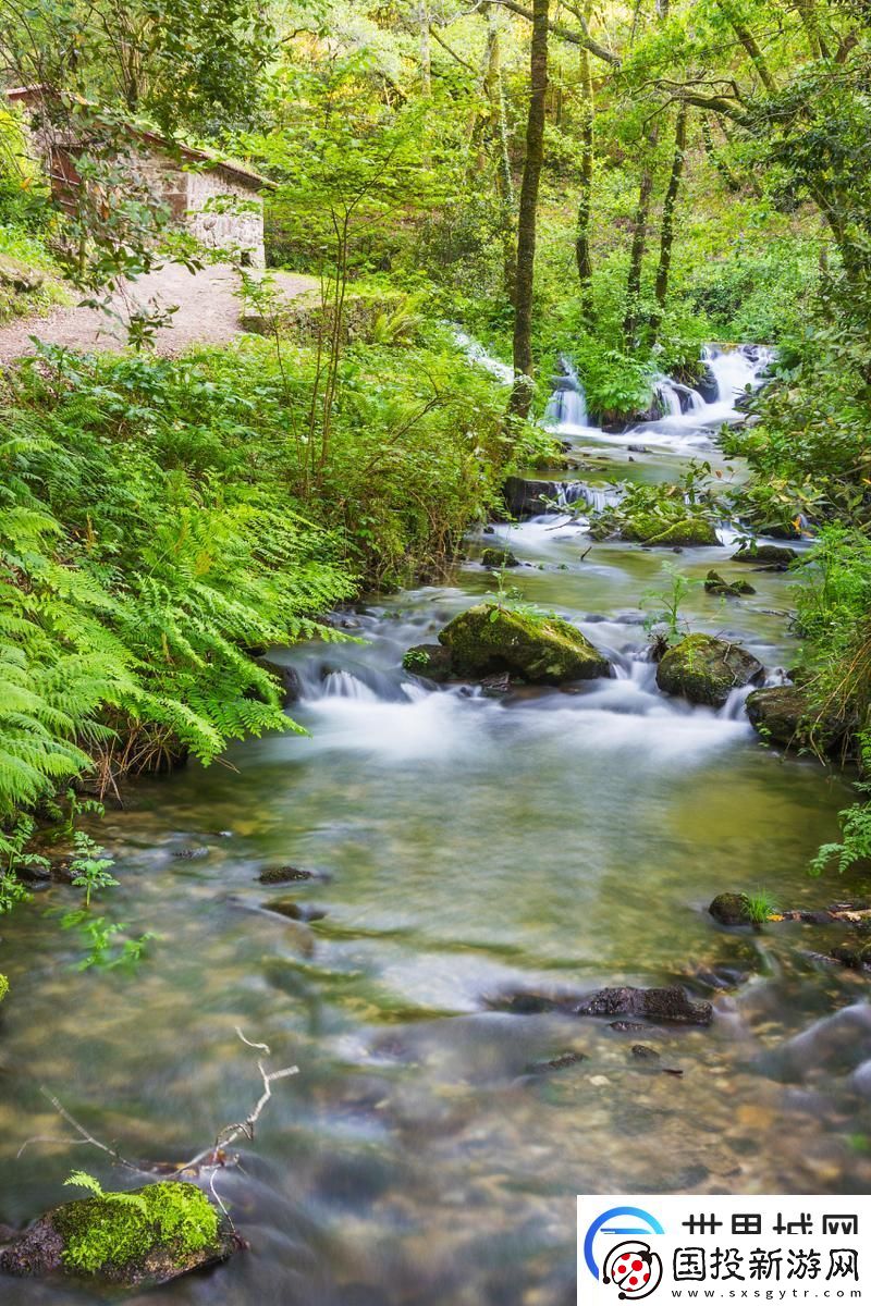两峰夹小溪地湿又无泥