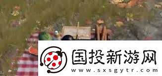 和平精英野餐彩蛋在哪里在哪